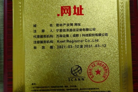 域名证书在备案中起什么作用