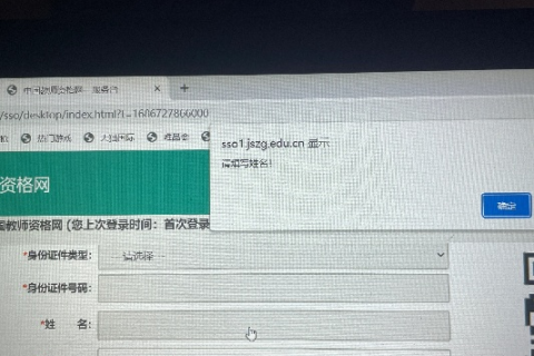 我看别人都是收录带WWW的域名，为什么我会出现这种情况呢？