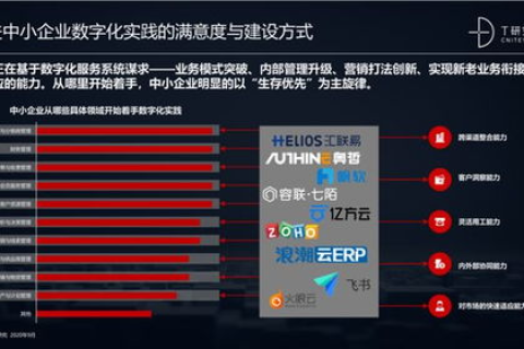 中国网格官网，解锁数字化转型新纪元
