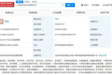 新网网址与域名价格解析，探索数字时代的网络基石