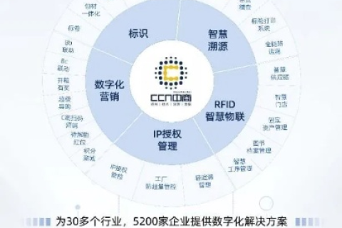 探索9城网络官网，搭建数字化桥梁，引领互联网新世界
