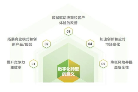 中南网络，构建互联网新生态，助力企业数字化转型