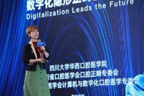 探索顶点网络官网，数字化时代下的创新领航者