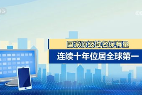 我国在国际互联网络信息中心正式注册并运行的顶级域名是，CN