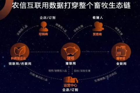 特维互联，重塑数字时代的企业沟通协作新生态