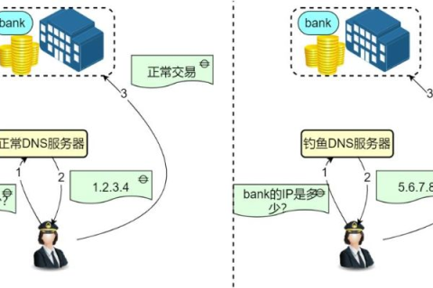 数字域名无法访问的谜团，探索背后的原因与解决方案