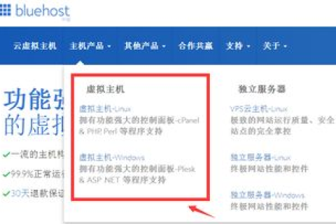 国外虚拟主机可以使用优惠码吗？