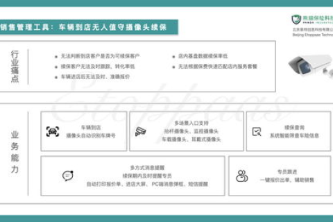 云志网络，重塑数字世界的创新力量
