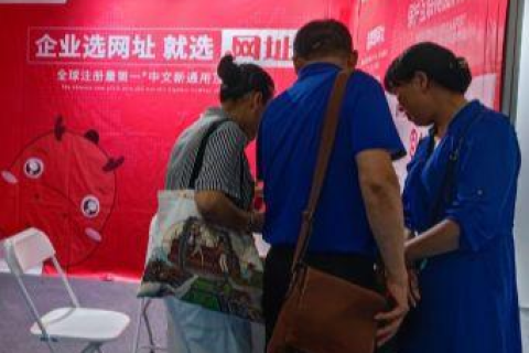 一个网站拥有两个域名，优化策略与潜在挑战