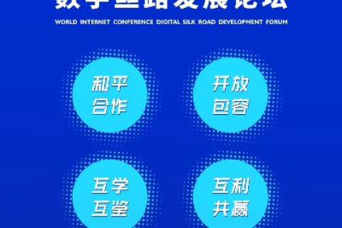 西部互联官网，重塑数字丝绸之路的桥梁照明者