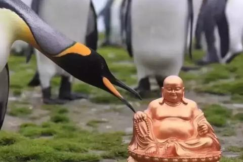 南极科技官网，探索未知，引领未来