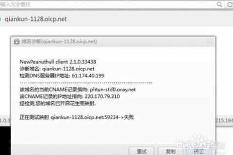 域名更换IP后仍然指向旧IP，原因解析与解决方案