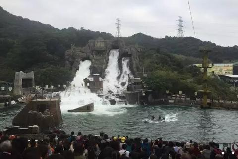 豆豆谷数据揭秘，数字化时代的商业驱动引擎