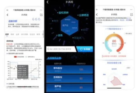 风易在线官网，数字化时代的便捷体验与风险预警