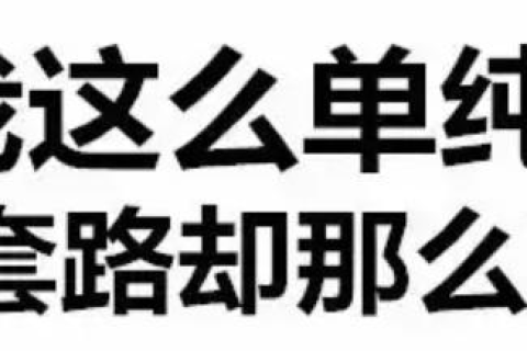 电脑网页上写着域名解析错误怎么回事求高手