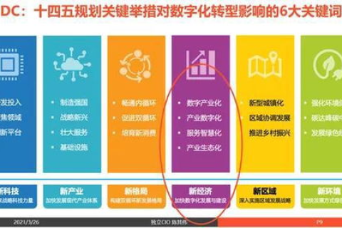 成都智讯达网络，创新驱动下的互联网服务领先者