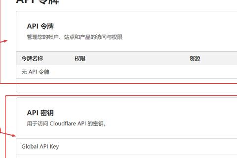 如何设置DNS以访问个人网站，从申请域名到公网配置详解