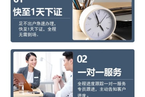 无忧智网官网，打造智能化时代的网络服务新标杆