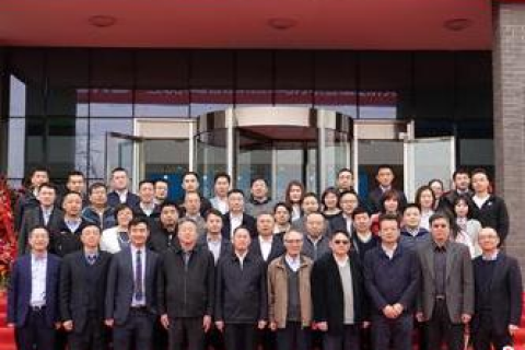 国际的顶级域名有哪些，探索全球互联网的身份标识
