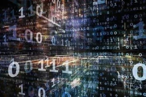 探索自由网络科技官网，重塑数字时代的无限可能