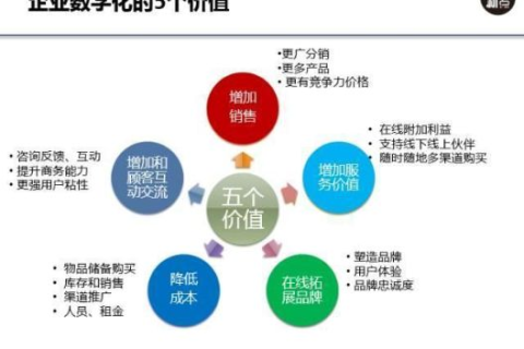 五环网络官网，重塑数字化时代的网络平台标杆
