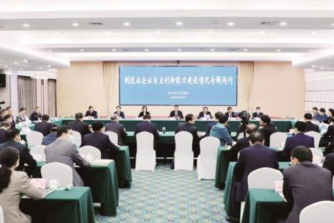 实速网络科技，引领数字创新的网络科技先锋