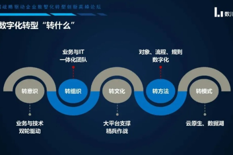 探讨中国数网官网，数字化时代的桥梁与枢纽