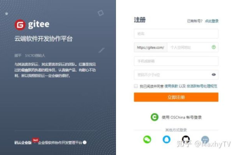 打造高效的网络连接，Host2ez官网尊享体验全解析