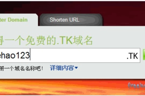轻松拥有个人网站，免费TK域名、免费空间及绑定解析全攻略