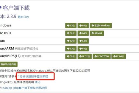 能用IP地址成功访问的网站不一定能用它的域名访问