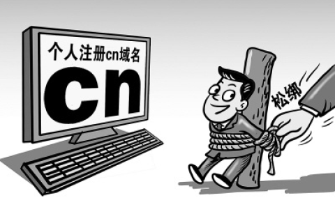 个人域名遭侵权，维权之路与法律策略