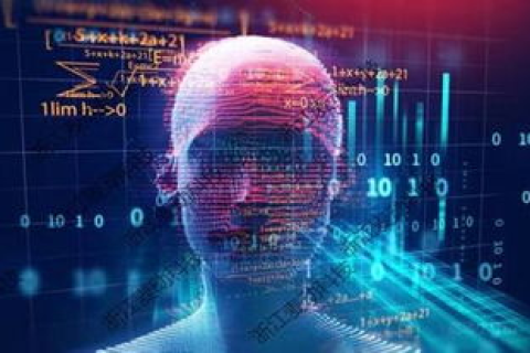 浩金网络，塑造数字时代商业未来的科技先锋