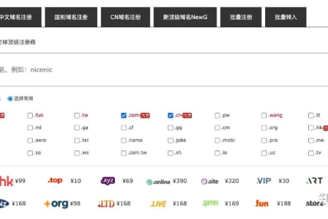 现在域名抢注平台有哪些？深度解析与比较