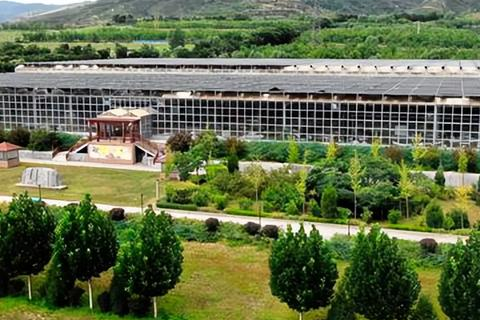 葵花科技官网，革新科技，引领未来智慧生活的新篇章