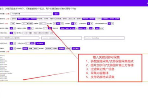 什么叫IP地址？什么叫域名？