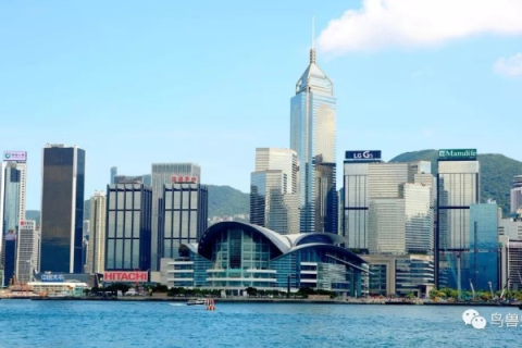 香港空间，探索城市与自然的和谐共存