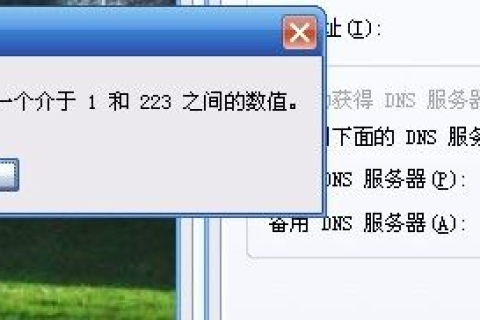 急！QQ能上去，输入IP地址可以上网，输域名就上不了网