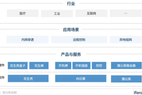 花生壳免费域名，功能限制与解决方案