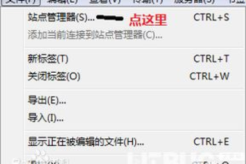 如何使用FTP软件连接并下载文件，解析新建域名网址的下载链接