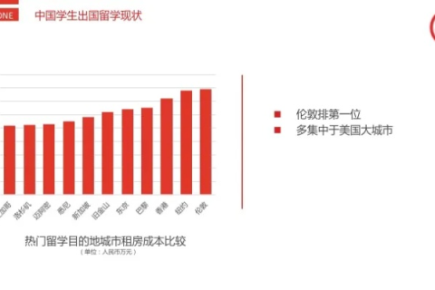 番茄互联官网全面解析，一站式互联网服务的新时代
