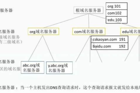 双域名共存的奇妙世界，解析修改域名后的网络奇迹