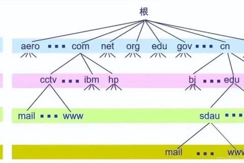 列举三个常用的域名并解析其结构