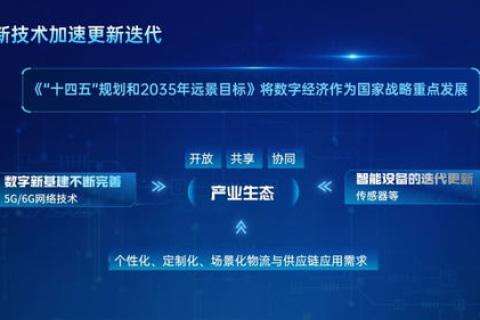 五海网络，构建全球数字化桥梁，赋能企业数字化转型
