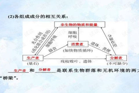 纵横网络，重塑数字时代的新生态