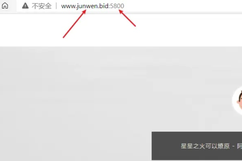 空间怎么注册自定义域名，详细步骤与注意事项