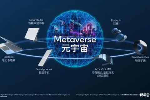 科技新纪元蛋蛋科技，重塑数字世界的创新引擎