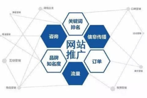 深入解析凑点网络官网背后的技术与运作模式