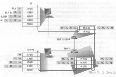 双线主机是否优于单线主机，一场技术与应用层面的深度剖析