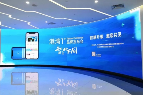 借力港湾网络，打造高效、智能的网络环境