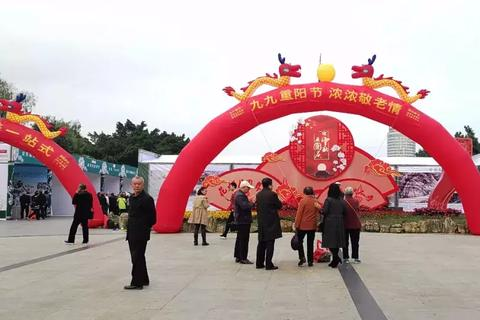 探索六九九网络官网，揭秘数字时代的信息海洋